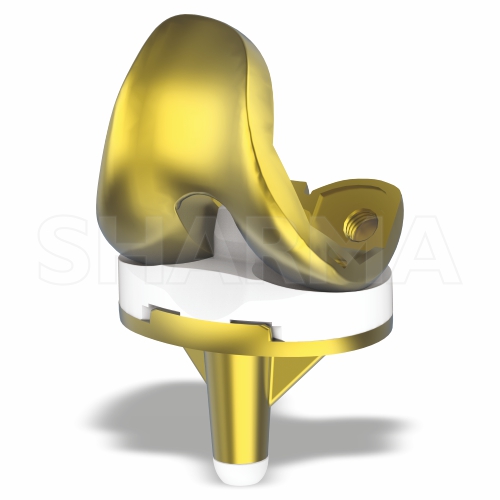 ENTICE II PS Total Knee Replacement Gold