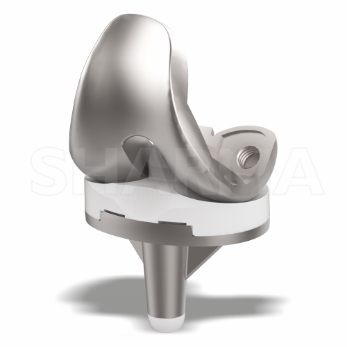 ENTICE II PS Total Knee Replacement