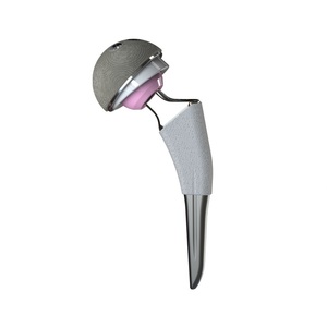 Titanium Hip Joint Prosthesis