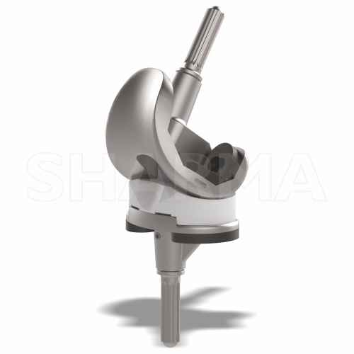 ENTICE II PS Revision Total Knee Replacement